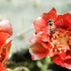 Illustration for article titled Spring has sprung: A Xyl0 photo gallery
